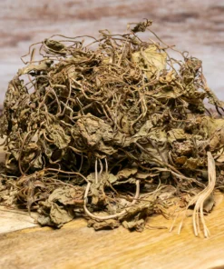 Five Finger Grass Herbs