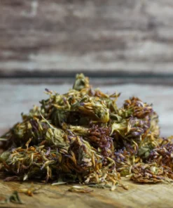 Red Clover Herbs